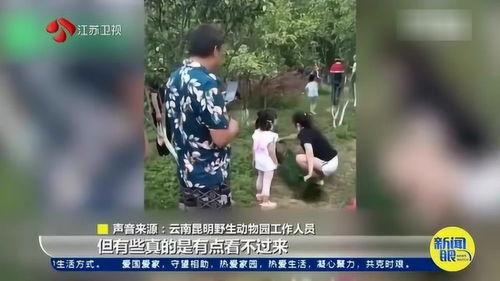 毛人龙被爆料视频大全集,揭秘事件背后真相 第1张 毛人龙被爆料视频大全集,揭秘事件背后真相 第1张