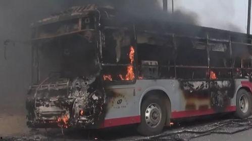 石家庄爆料逆行事件最新,惊险瞬间引发全民关注 第3张 石家庄爆料逆行事件最新,惊险瞬间引发全民关注 第3张